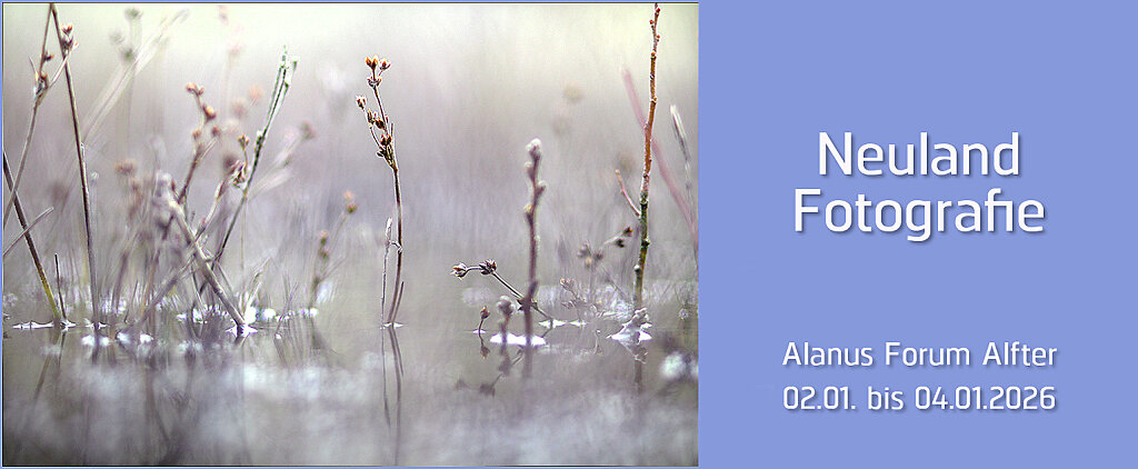 26-01Neuland-FotografieAlfter.jpg