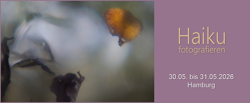 26-05HaikuAT-Hamburg.jpg