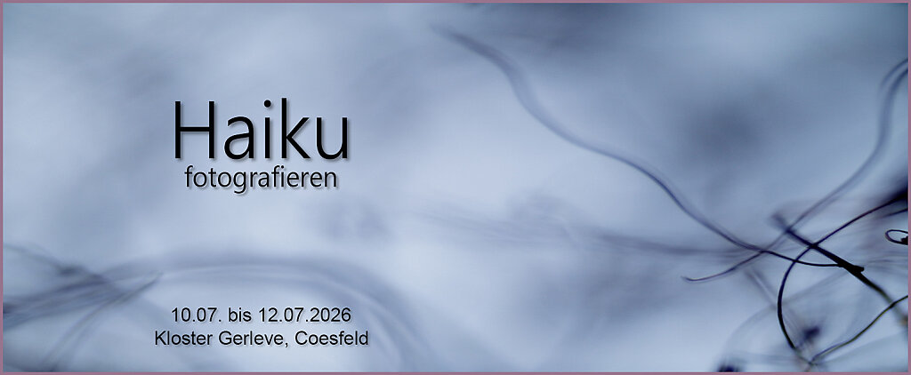 26-07HaikuGerleve.jpg