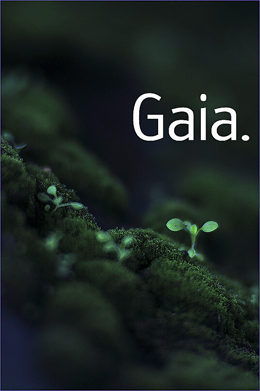 Gaia.jpg